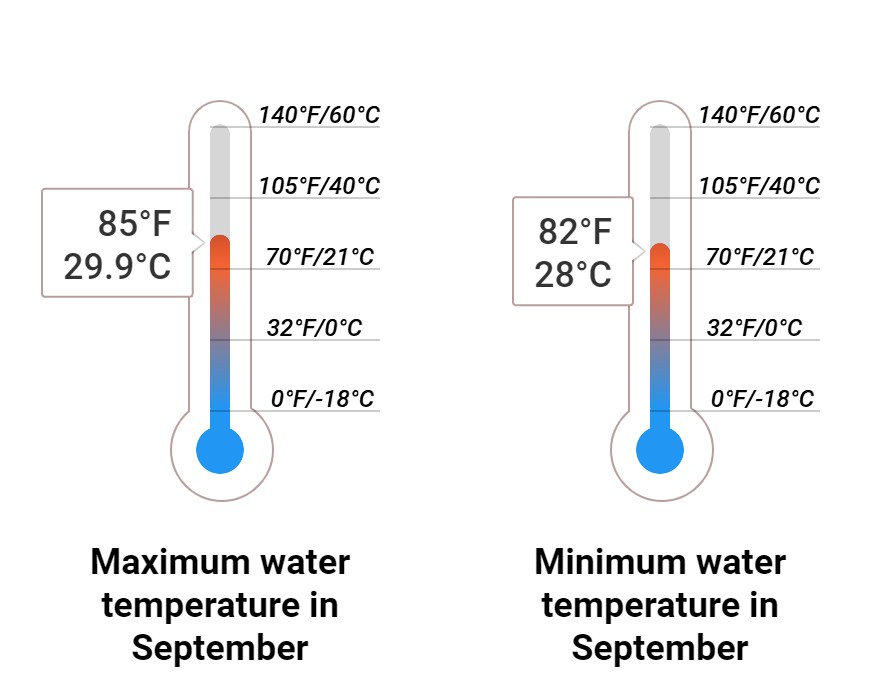 Average Sea temperature